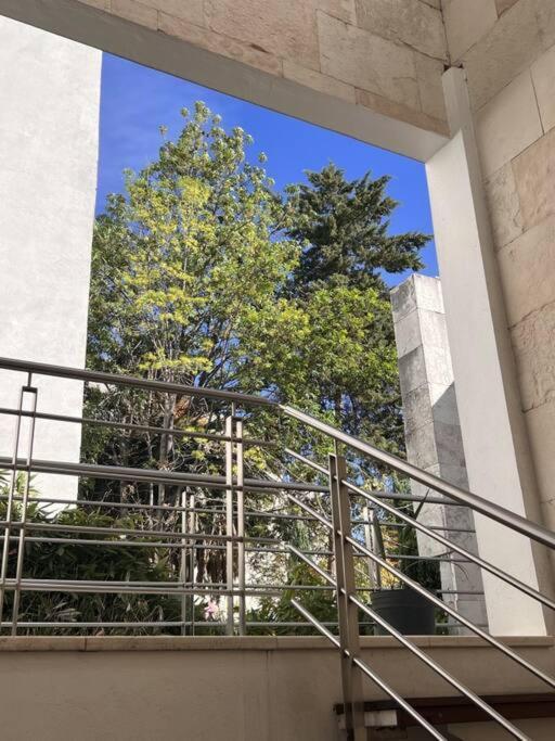 Condesa Residence Amsterdam 101 Serene 1 Bed1Bath On Amsterdam Av 墨西哥城 外观 照片