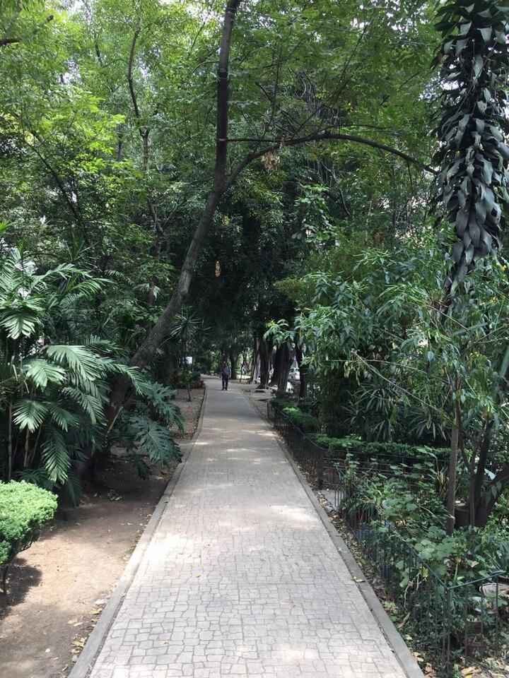 Condesa Residence Amsterdam 101 Serene 1 Bed1Bath On Amsterdam Av 墨西哥城 外观 照片